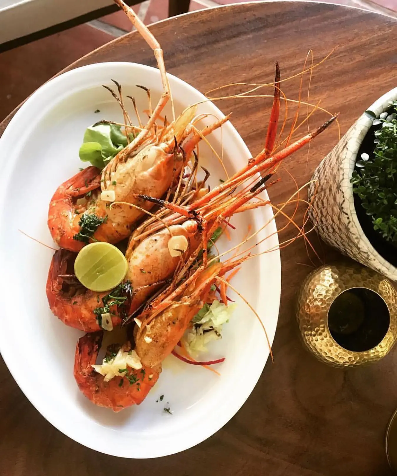 the bungalow galle fort food fried frawns